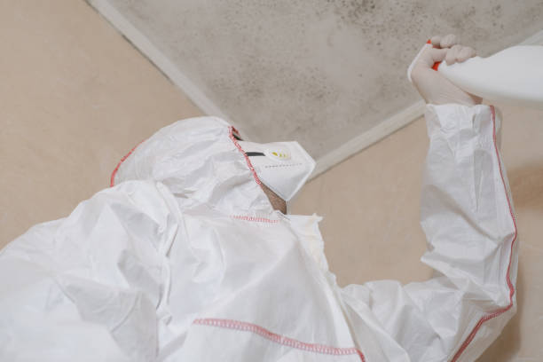 Best Toxic Mold Removal  in Castle Hills, TX
